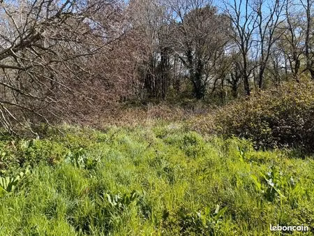 terrain 625 m² andernos les bains