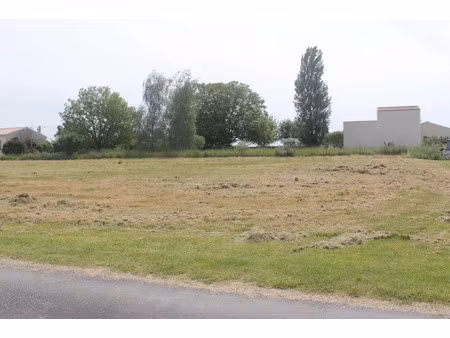 vente terrain à batir 1036 m² à bois (17240)  25 000 €
