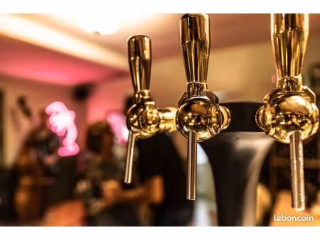 fonds de commerce - restaurant bar terrasses licence iv - 275m² - le bouscat