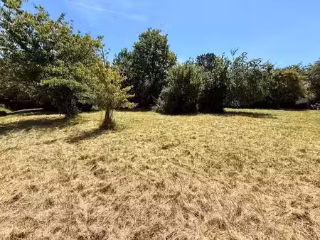 vente terrain 1000 m² à bergerac (24100)  42 000 €