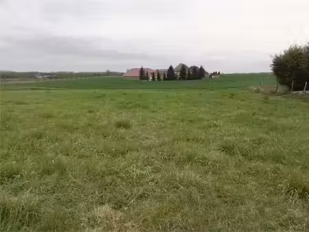 vente terrain 1450 m² à sergines (89140)  42 000 €