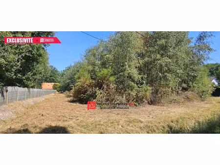 vente terrain 3921 m² à egreville (77620)  39 000 €