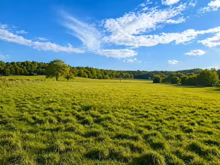 vente terrain 1500 m² à champagne-et-fontaine (24320)  20 000 €