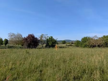 vente terrain 1851 m² à palaminy (31220)  49 900 €