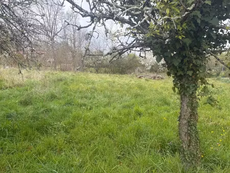 vente terrain 780 m² à bessières (31660)  80 000 €