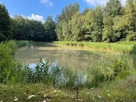 vente plan d'eau 54480 cirey sur vezouze