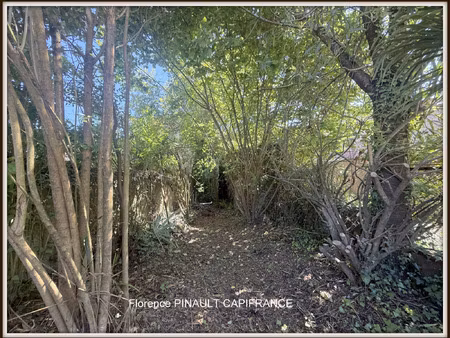 maison à vendre castelnau riviere basse 8 pièce(s) 150m2 46 500€