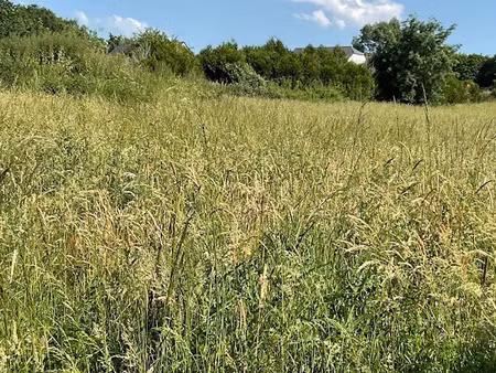 vente terrain à batir 4874 m² à moisdon-la-rivière (44520)  89 000 €