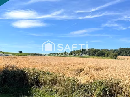 vente terrain à batir 700 m² à rantzwiller (68510)  142 000 €