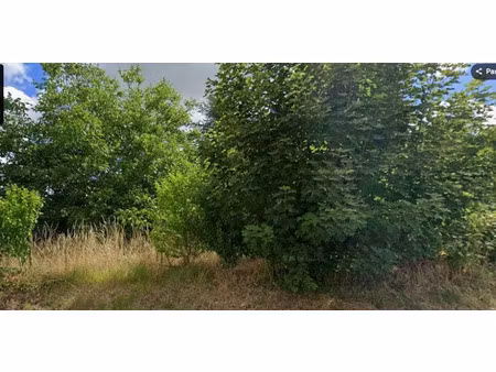 vente terrain 315 m² à boutigny-sur-essonne (91820)  95 000 €