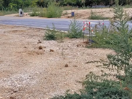 vente terrain 405 m² à claira (66530)  125 000 €