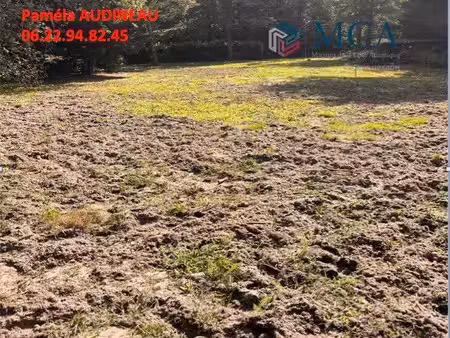 vente terrain 900 m² à saint-selve (33650)  135 000 €