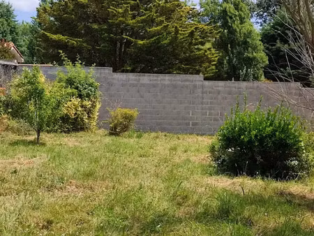 vente terrain 449 m² à saint-michel-chef-chef (44730)  158 000 €