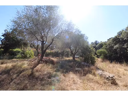 vente terrain 564 m² à boisseron (34160)  179 000 €