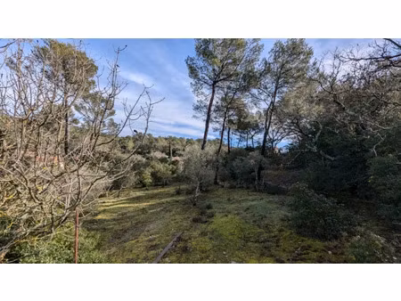 vente terrain 1000 m² à garéoult (83136)  179 000 €