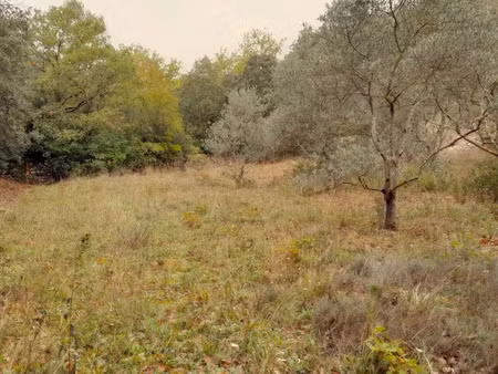 vente terrain 800 m² à saint-maximin-la-sainte-baume (83470)  175 000 €