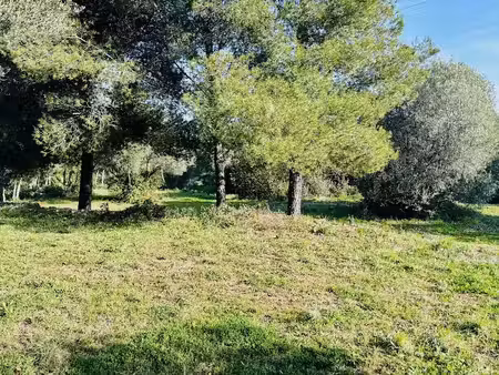 vente terrain 510 m² à ollioules (83190)  215 000 €