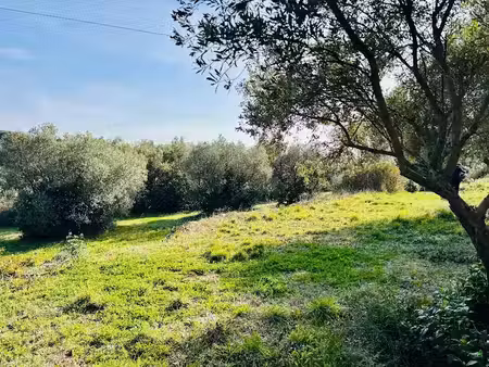 vente terrain 649 m² à ollioules (83190)  280 000 €