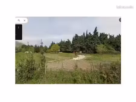 terrain pour chevaux