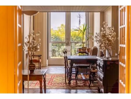 pau  boulevard des pyrénées  grand appartement avec vue montag