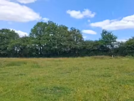 vente terrain à vue (44640) : à vendre / 601m² vue
