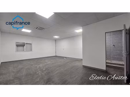 location locaux professionnels 14 pièces 794 m² à les abymes (97139)  12 000 €