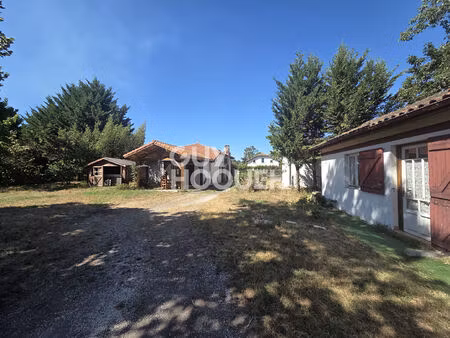 a vendre rion-des-landes ? propriété avec piscine  dépendance et parc arboré de plus de 4 