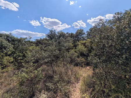 terrain en zone naturelle n de 1024m2