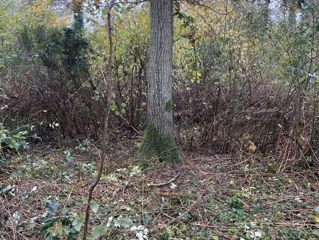 terrain à fontenay-sur-loing (45210)
