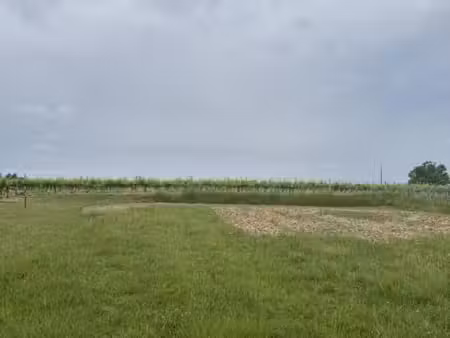 terrain 1 000 m² pugnac