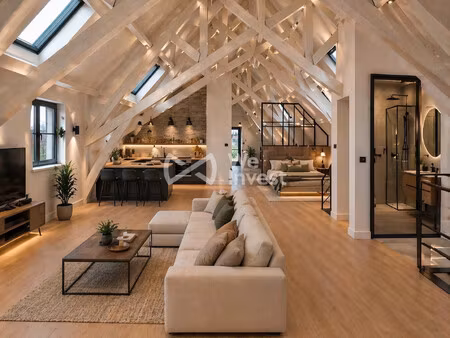 loft 160m² vue pyrénées