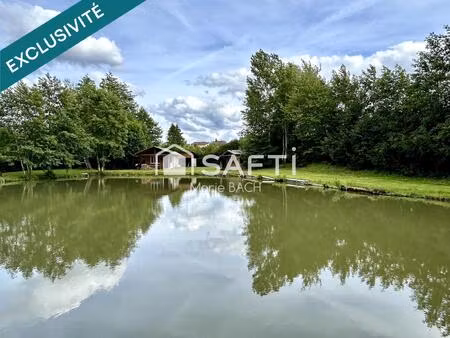terrain de loisir avec étang