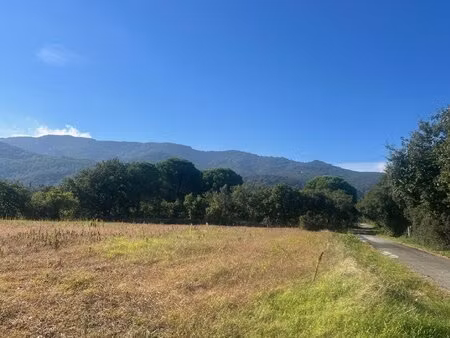 achat terrain 3 800m² argeles sur mer 66700