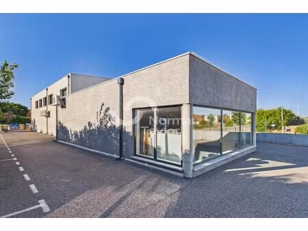location commerce perpignan 66000 460m²