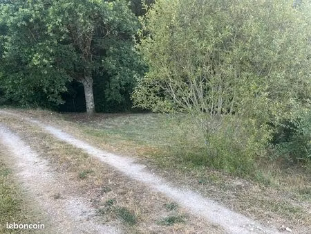 terrain arboré fussy