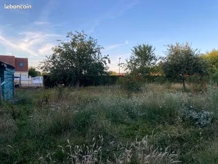 terrain constructible