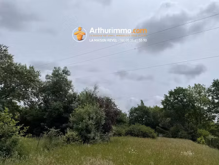 vente terrain 5000 m2 à revel