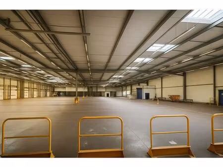 location entrepôt lille 59000 500m²