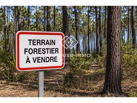 parcelle forestiere