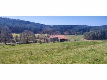 exclusivite riotord 43220 côté marlhes 42660 parcelle de terrain de 1990m² dont 1715m² con