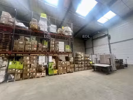 location entrepôt villeneuve-sous-dammartin 77230 390m²