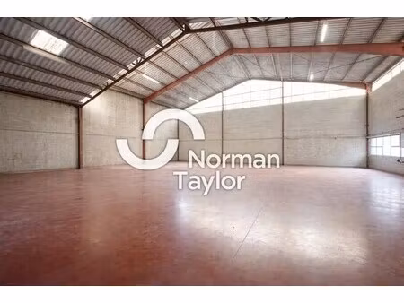 vente local d’activités perpignan 66000 460m²
