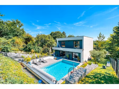 vente maison 7 pièces  175.00m²  chessy