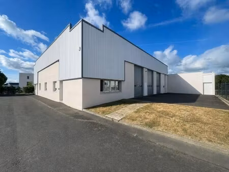 location bureaux 113 m² à 1 193 m²