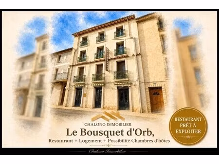 vente commerce le bousquet d orb 34260 426m²