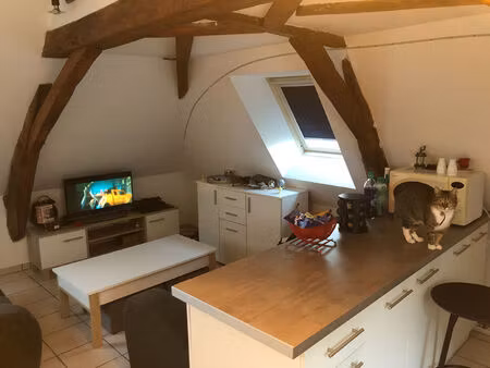 location appartement 3 pièces  35.55m²  tiercé