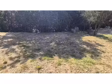 terrain