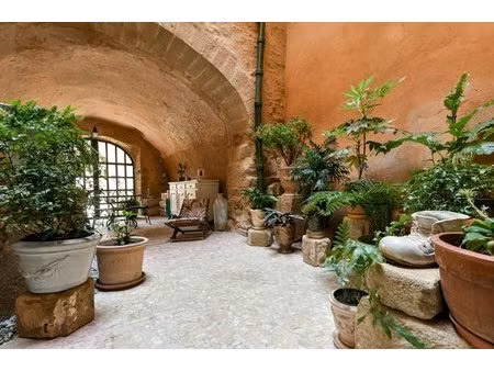maison de caractère du xve de 195m²  dans le fort médiéval du village