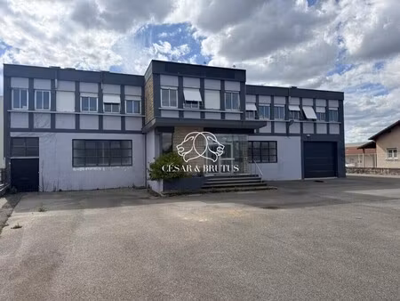 vente entrepôt decines charpieu 69150 2300m²
