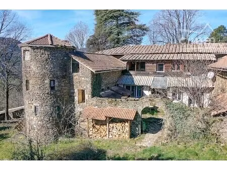 château cévenol dans la vallée de la drobie sur 8 hec